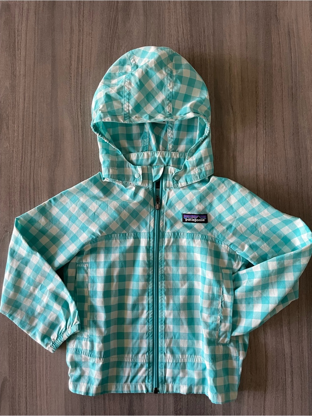 Patagonia Toddler 2T Turquoise Gingham Hooded Windbreaker